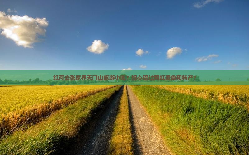 红河去张家界天门山旅游小吃？担心错过网红美食和特产？