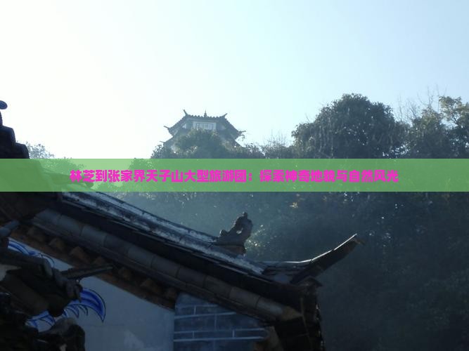 林芝到张家界天子山大型旅游团：探索神奇地貌与自然风光