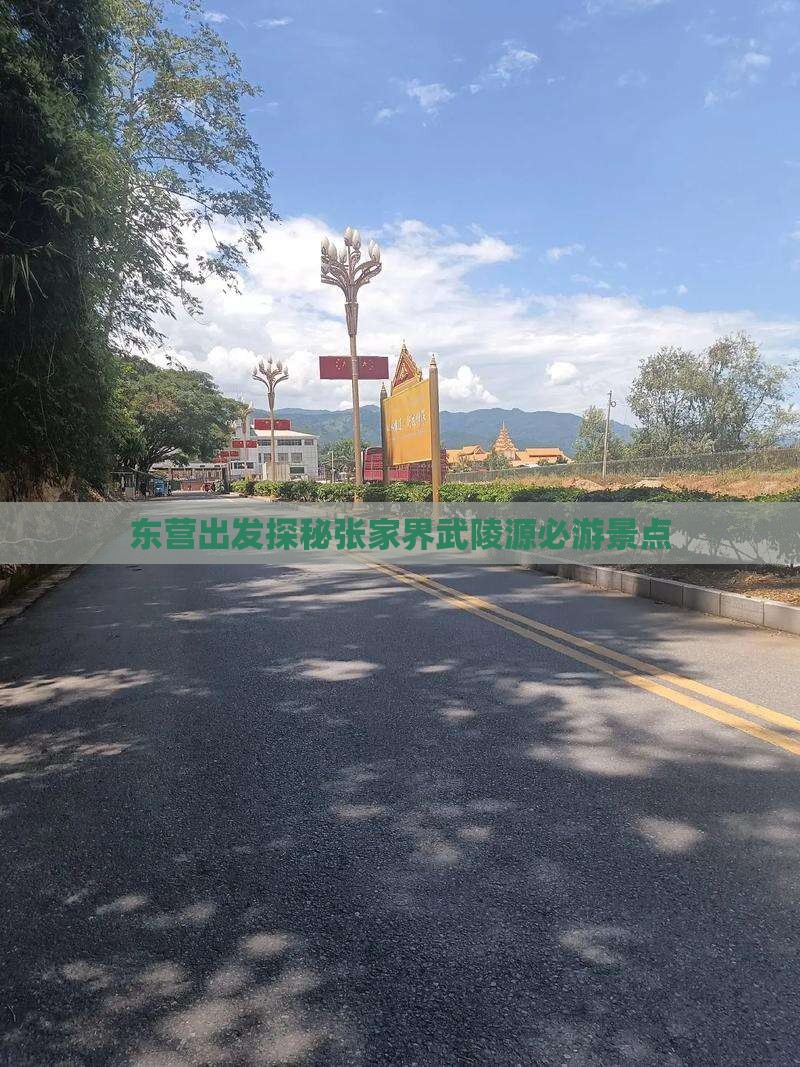 东营出发探秘张家界武陵源必游景点