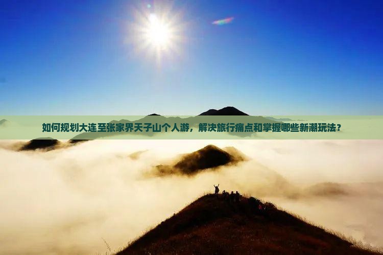 如何规划大连至张家界天子山个人游，解决旅行痛点和掌握哪些新潮玩法？