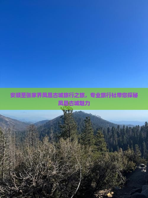 安顺至张家界凤凰古城旅行之旅，专业旅行社带您探秘凤凰古城魅力
