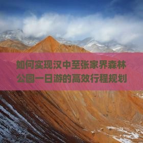 如何实现汉中至张家界森林公园一日游的高效行程规划？