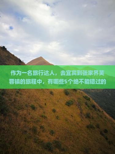 作为一名旅行达人，去宜宾到张家界芙蓉镇的旅程中，有哪些5个绝不能错过的地方？