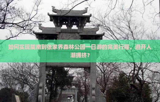 如何实现陇南到张家界森林公园一日游的完美行程，避开人潮拥挤？