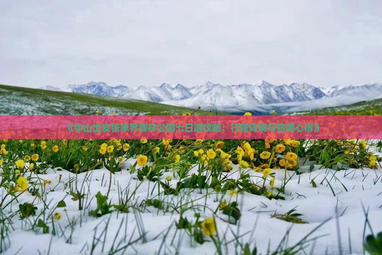 《中山出发张家界森林公园七日游攻略：行程详解与旅游心得》