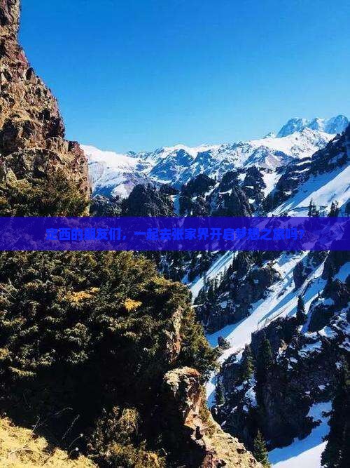定西的朋友们，一起去张家界开启梦想之旅吗？