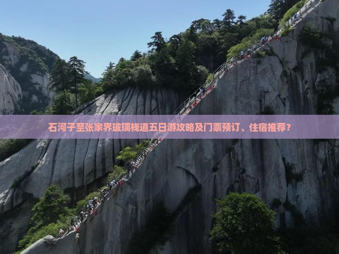 石河子至张家界玻璃栈道五日游攻略及门票预订、住宿推荐？