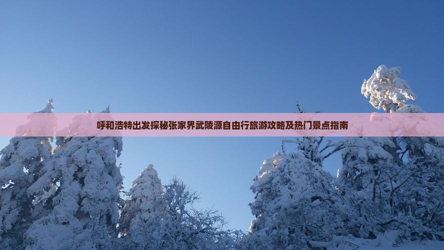 呼和浩特出发探秘张家界武陵源自由行旅游攻略及热门景点指南