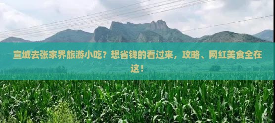 宣城去张家界旅游小吃？想省钱的看过来，攻略、网红美食全在这！