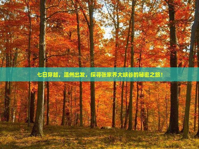 七日穿越，温州出发，探寻张家界大峡谷的秘密之旅！