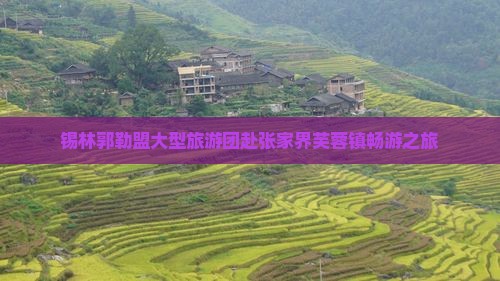 锡林郭勒盟大型旅游团赴张家界芙蓉镇畅游之旅