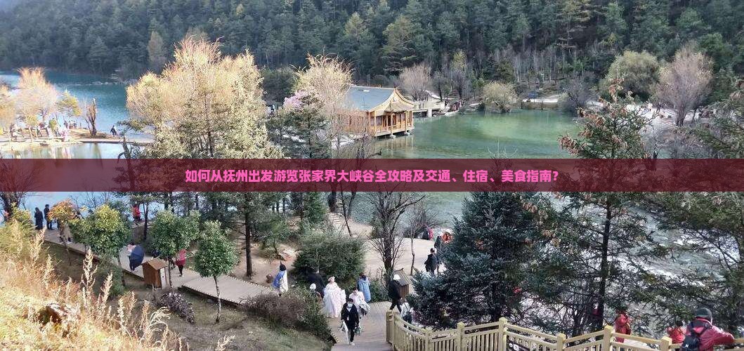 如何从抚州出发游览张家界大峡谷全攻略及交通、住宿、美食指南？