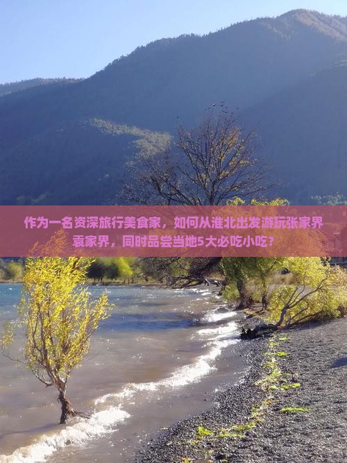 作为一名资深旅行美食家，如何从淮北出发游玩张家界袁家界，同时品尝当地5大必吃小吃？