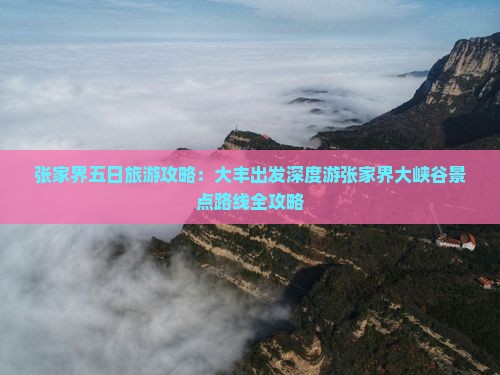 张家界五日旅游攻略：大丰出发深度游张家界大峡谷景点路线全攻略