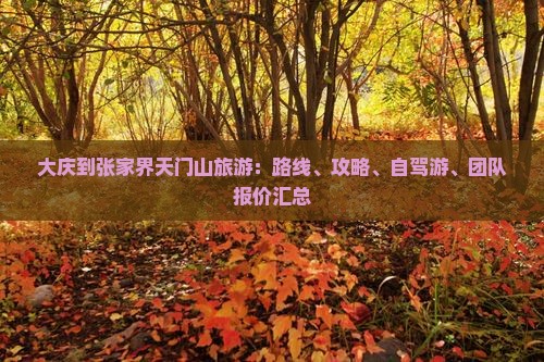 大庆到张家界天门山旅游：路线、攻略、自驾游、团队报价汇总