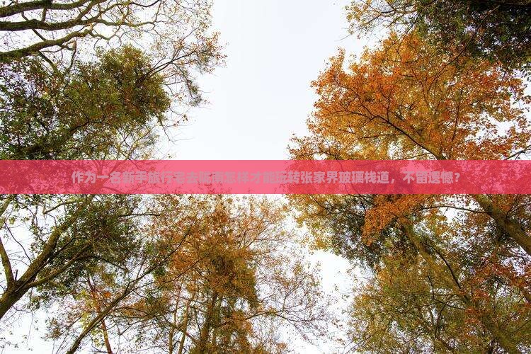作为一名新手旅行宅去陇南怎样才能玩转张家界玻璃栈道，不留遗憾？