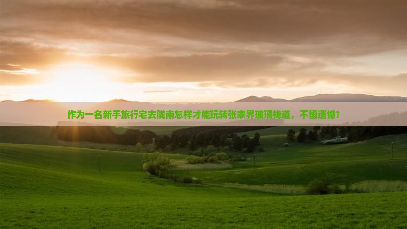 作为一名新手旅行宅去陇南怎样才能玩转张家界玻璃栈道，不留遗憾？