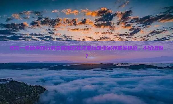 作为一名新手旅行宅去陇南怎样才能玩转张家界玻璃栈道，不留遗憾？