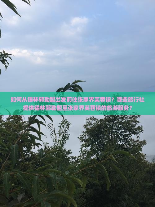 如何从锡林郭勒盟出发前往张家界芙蓉镇？哪些旅行社提供锡林郭勒盟至张家界芙蓉镇的旅游服务？