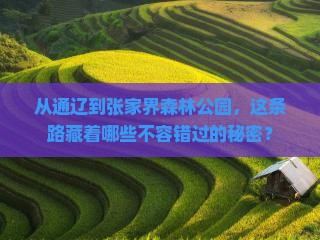 从通辽到张家界森林公园，这条路藏着哪些不容错过的秘密？