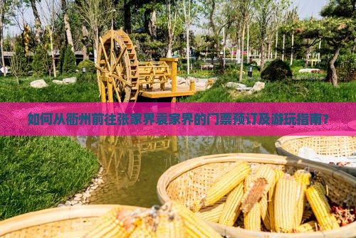 如何从衢州前往张家界袁家界的门票预订及游玩指南？