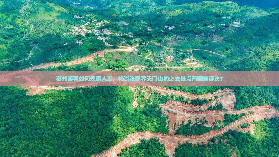 苏州游客如何规避人潮，畅游张家界天门山的必去景点有哪些秘诀？