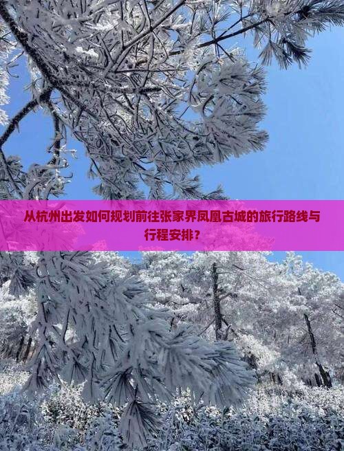 从杭州出发如何规划前往张家界凤凰古城的旅行路线与行程安排？