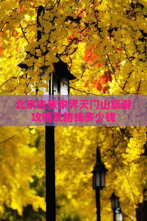 北京去张家界天门山旅游攻略及路线多少钱