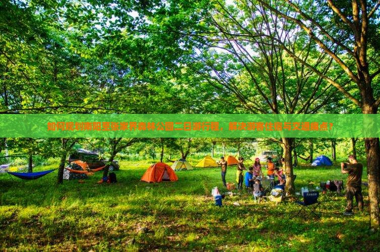 如何规划南阳至张家界森林公园二日游行程，解决游客住宿与交通痛点？