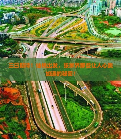 三日期待！仙桃出发，张家界那些让人心跳加速的秘密！