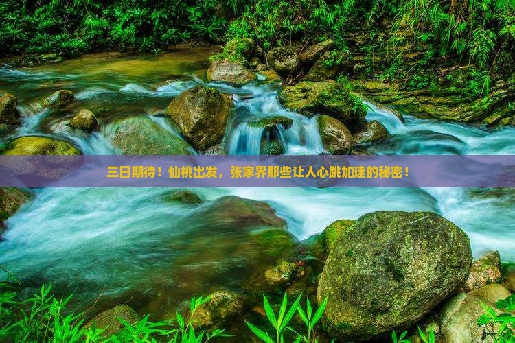 三日期待！仙桃出发，张家界那些让人心跳加速的秘密！