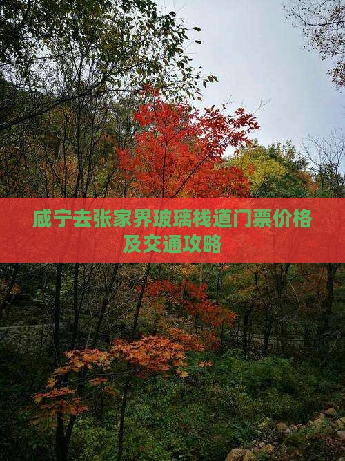 咸宁去张家界玻璃栈道门票价格及交通攻略