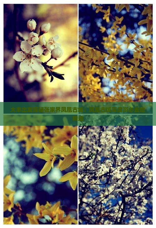 大丰出发探秘张家界凤凰古城：凤凰古城深度游必去地精选
