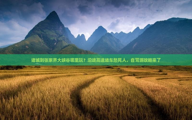 诸城到张家界大峡谷哪里玩？沿途高速堵车愁死人，自驾游攻略来了