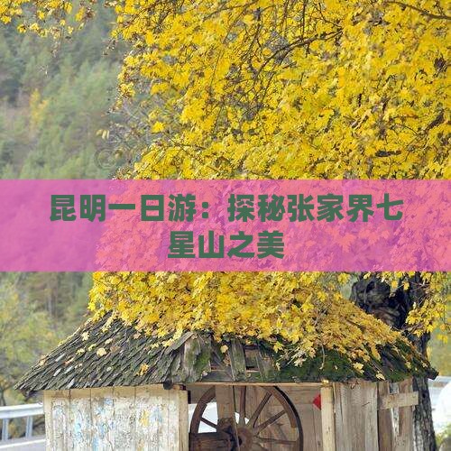 昆明一日游：探秘张家界七星山之美