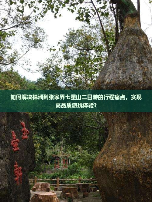 如何解决株洲到张家界七星山二日游的行程痛点，实现高品质游玩体验？