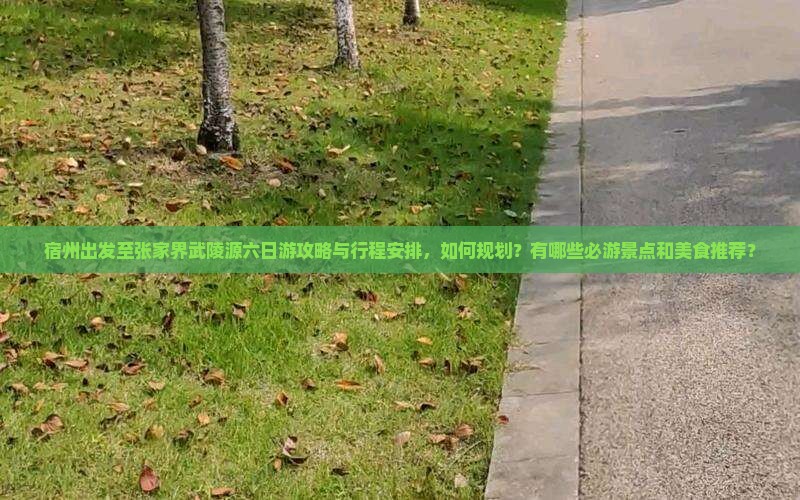 宿州出发至张家界武陵源六日游攻略与行程安排，如何规划？有哪些必游景点和美食推荐？
