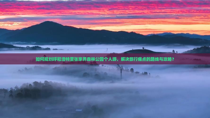 如何规划呼和浩特至张家界森林公园个人游，解决旅行痛点的路线与攻略？