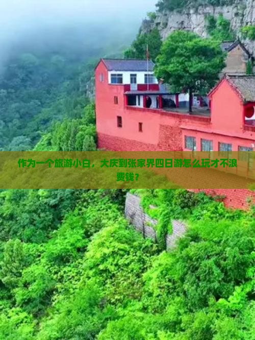 作为一个旅游小白，大庆到张家界四日游怎么玩才不浪费钱？
