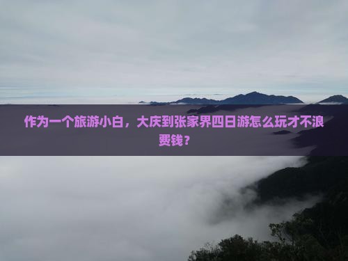 作为一个旅游小白，大庆到张家界四日游怎么玩才不浪费钱？