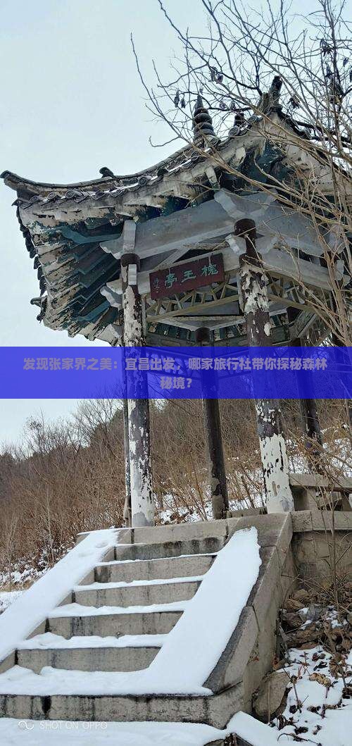 发现张家界之美：宜昌出发，哪家旅行社带你探秘森林秘境？