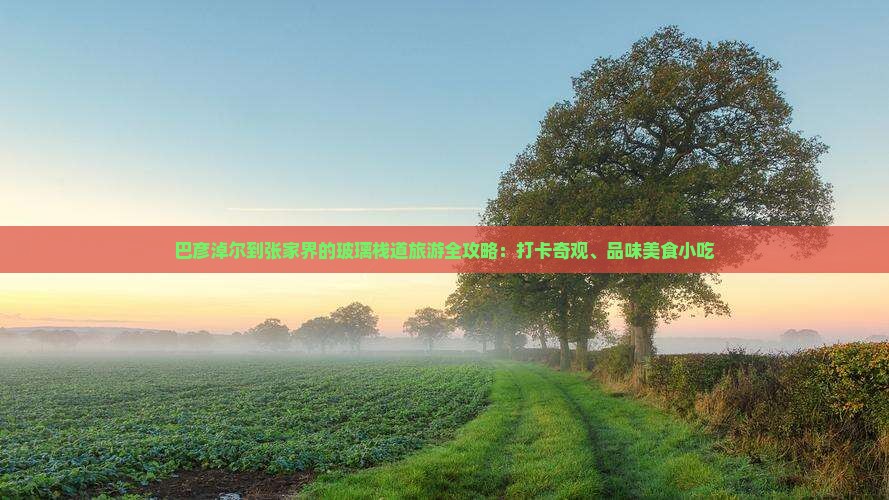 巴彦淖尔到张家界的玻璃栈道旅游全攻略：打卡奇观、品味美食小吃