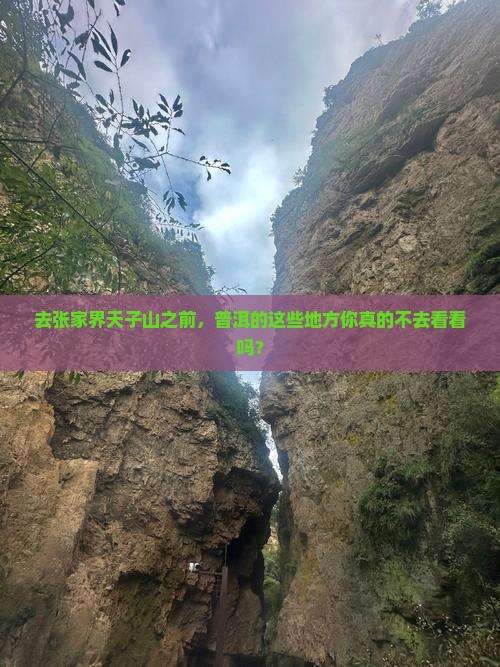去张家界天子山之前，普洱的这些地方你真的不去看看吗？