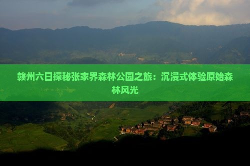 赣州六日探秘张家界森林公园之旅：沉浸式体验原始森林风光