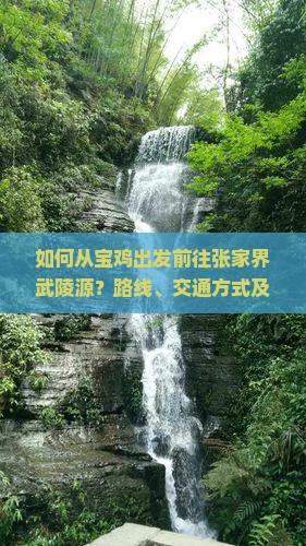 如何从宝鸡出发前往张家界武陵源？路线、交通方式及景点游览建议