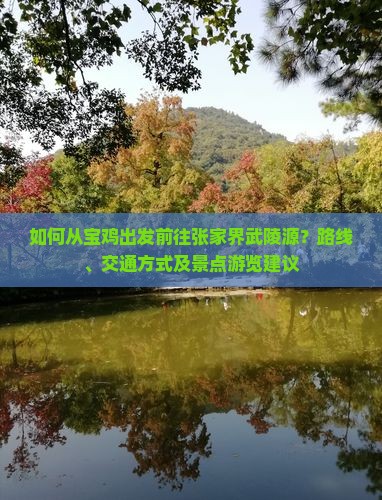 如何从宝鸡出发前往张家界武陵源？路线、交通方式及景点游览建议