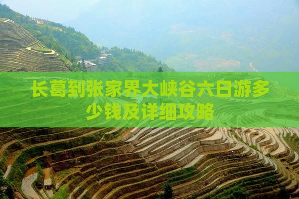 长葛到张家界大峡谷六日游多少钱及详细攻略