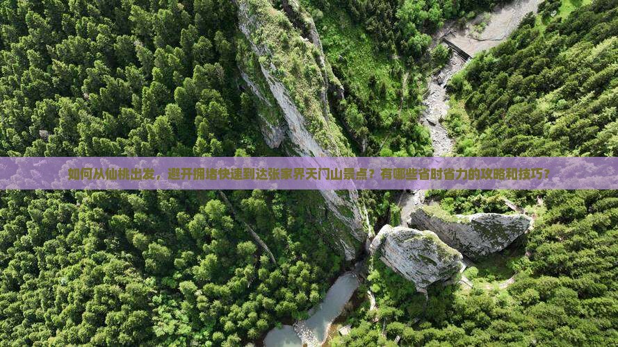 如何从仙桃出发，避开拥堵快速到达张家界天门山景点？有哪些省时省力的攻略和技巧？