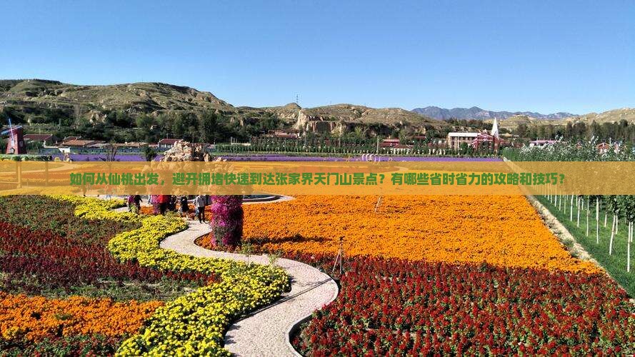 如何从仙桃出发，避开拥堵快速到达张家界天门山景点？有哪些省时省力的攻略和技巧？