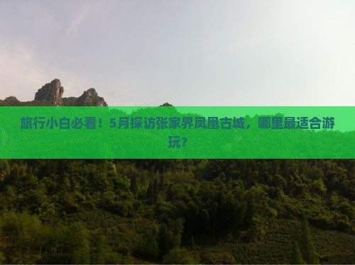 旅行小白必看！5月探访张家界凤凰古城，哪里最适合游玩？